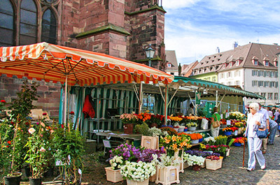 Wochenmarkt auf dem Münsterplatz in Freiburg