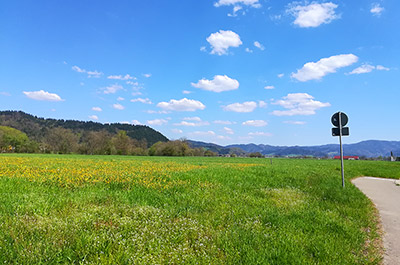 Blick ins Dreisamtal