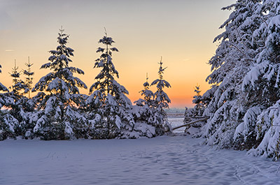 Winter im Schwarzwald